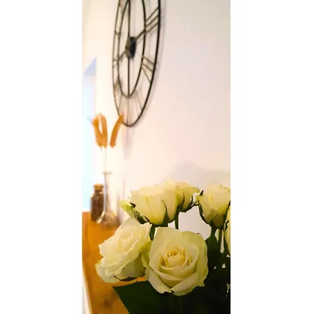 Krakowska Sunny * ורוצלב