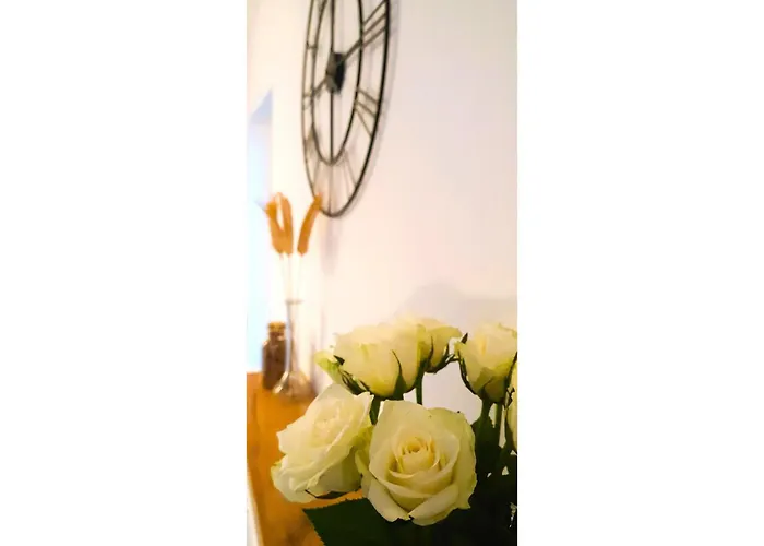 Krakowska Sunny * فروتسواف