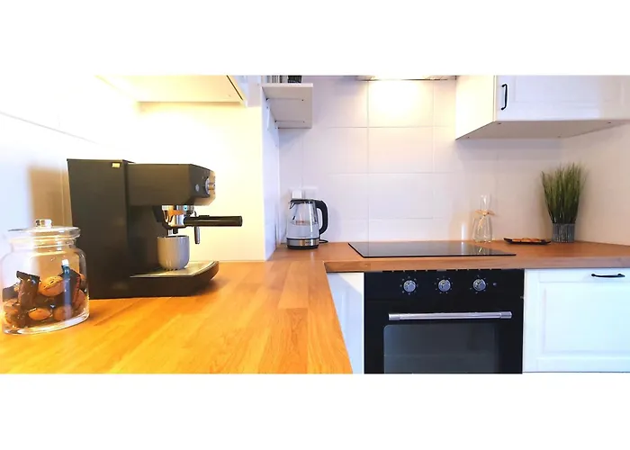 Krakowska Sunny * 弗罗茨瓦夫